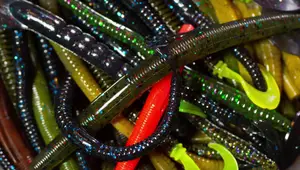 Cabela's Worm Bass Bucket Review: Is it Worth the Hype?