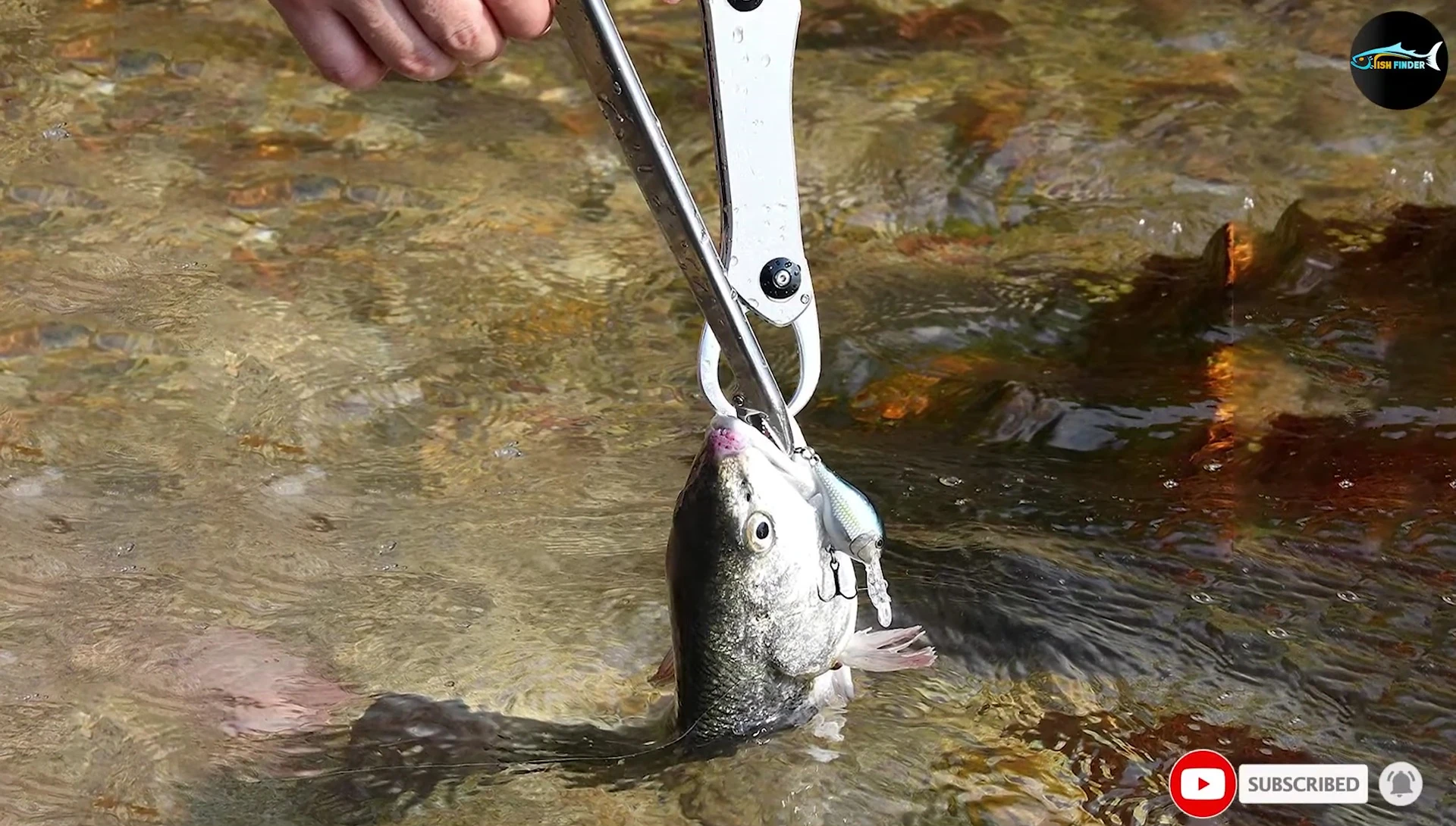 Image highlighting the length and pistol grip of the Booms Fishing Ron.