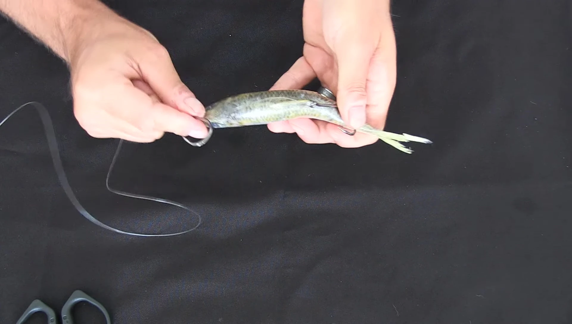 Spacing for free bait movement