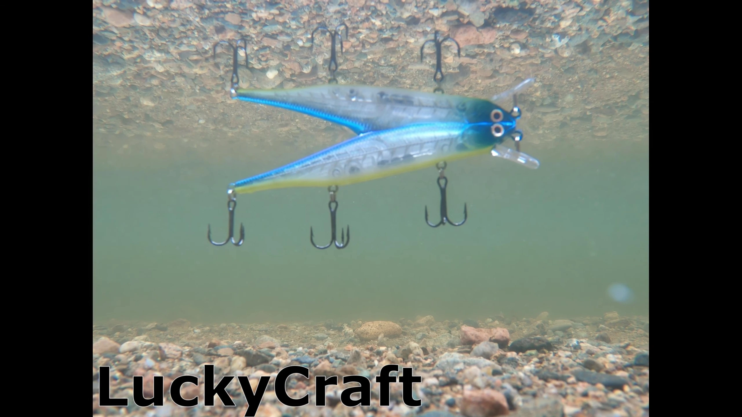 Underwater footage showcasing the Lucky Craft Pointer 110's swimming action.