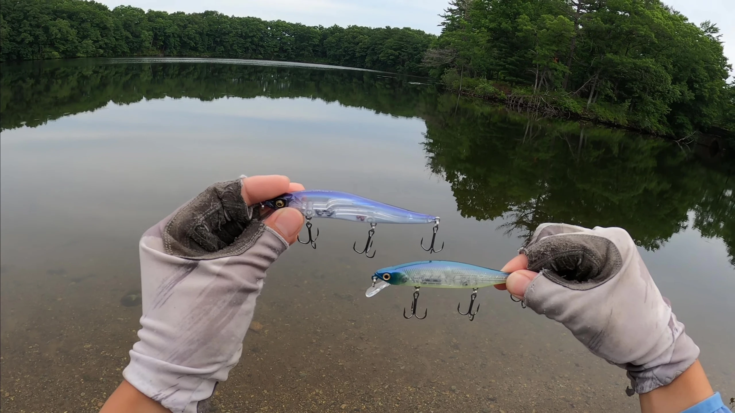 Close-up comparison of the Megabass Vision 110 and Lucky Craft Pointer 110 bodies, showing their similar shapes.