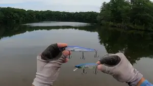 Megabass Vision 110 vs Lucky Craft Pointer 110: Jerkbait Showdown!