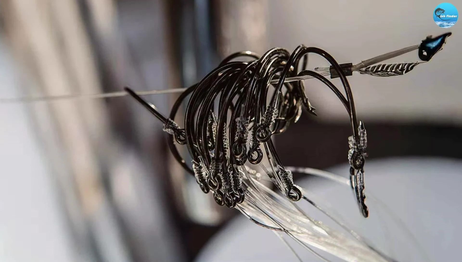 Close-up shot of a Mustad 39944 circle hook.