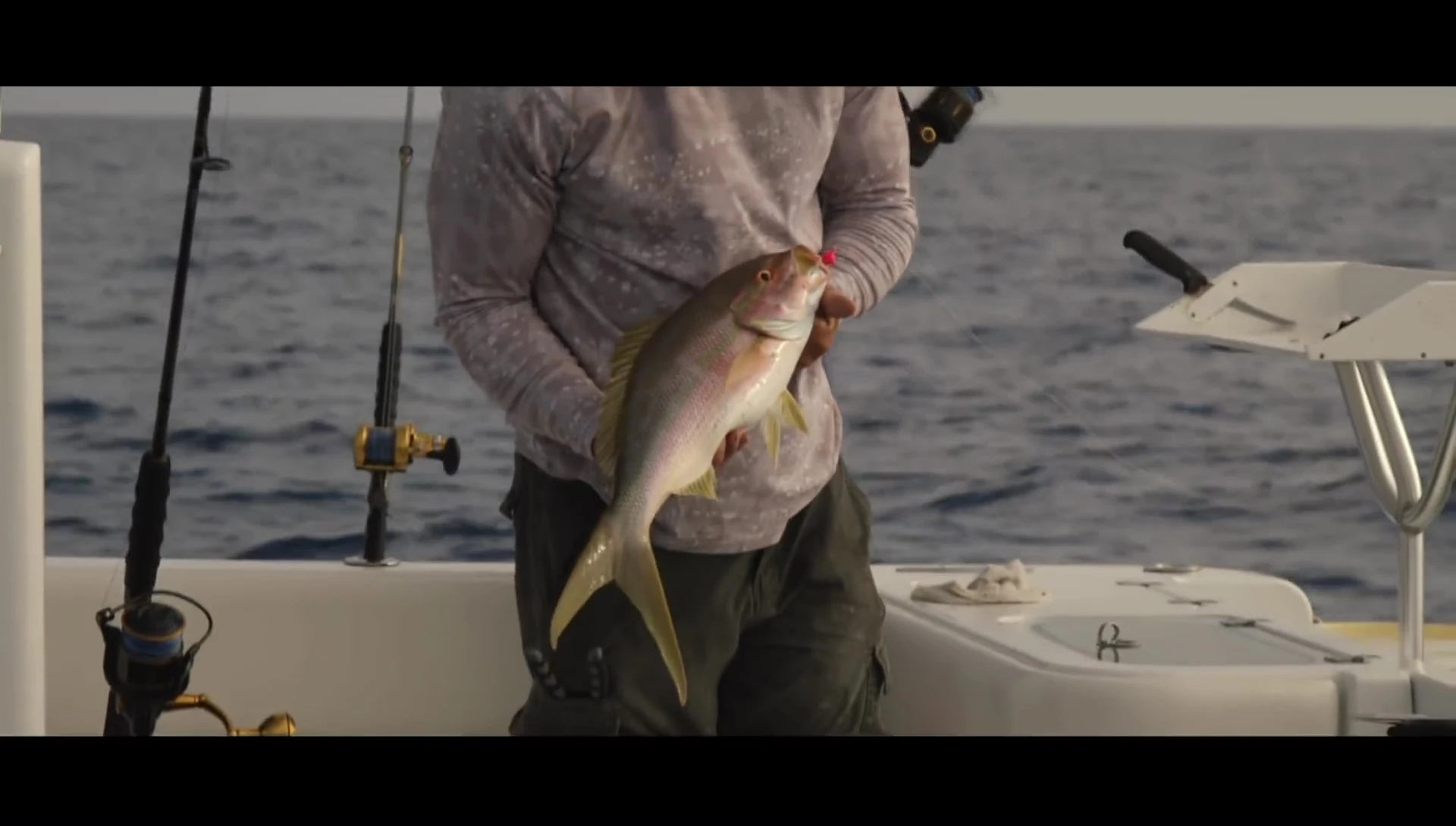 Successful catch of a Yellowtail.