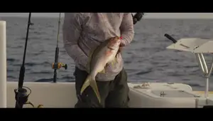 Yellowtail Fishing Rigging: A Comprehensive Guide