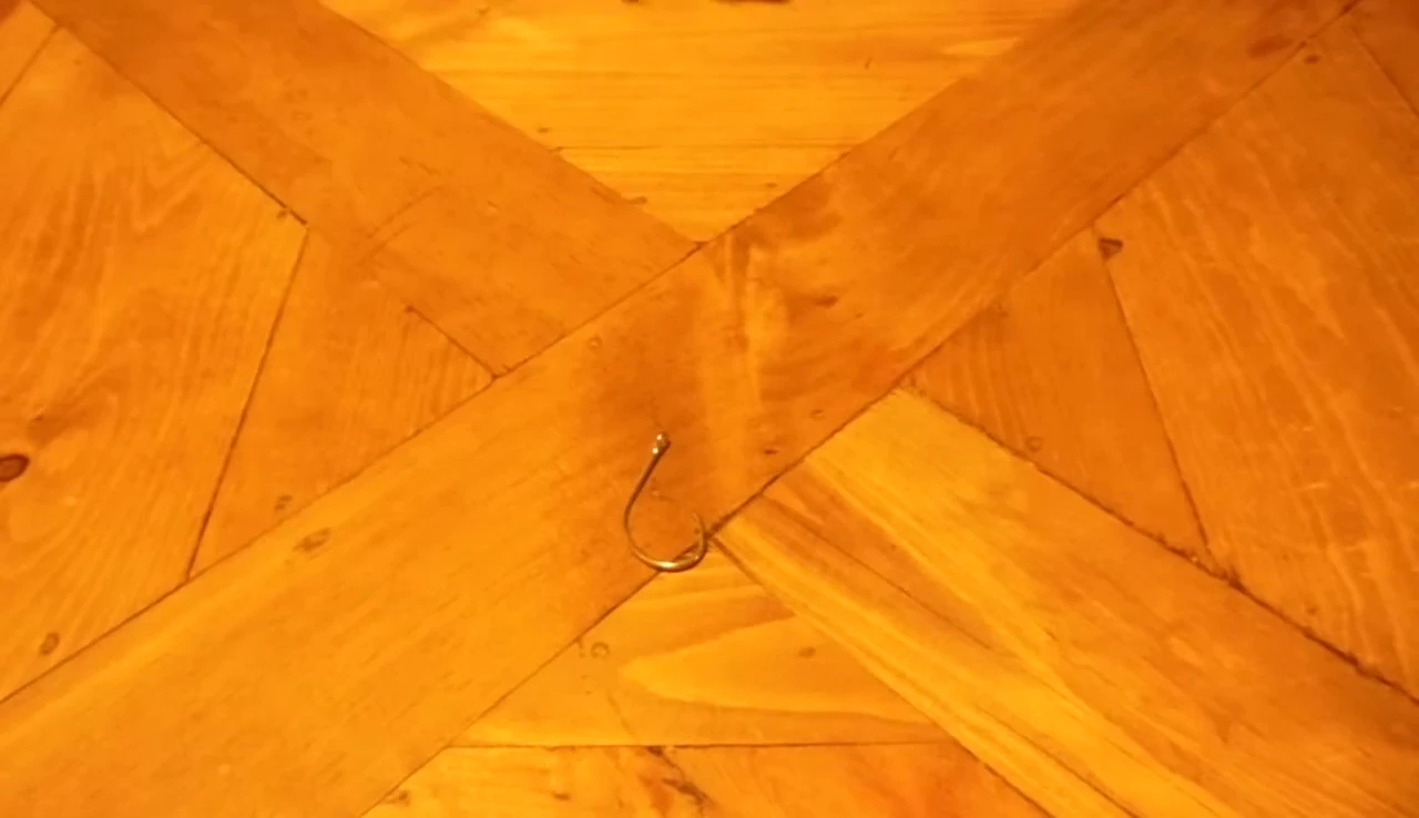 Close-up of the Eagle Claw L197 Lazer Sharp Circle Hook