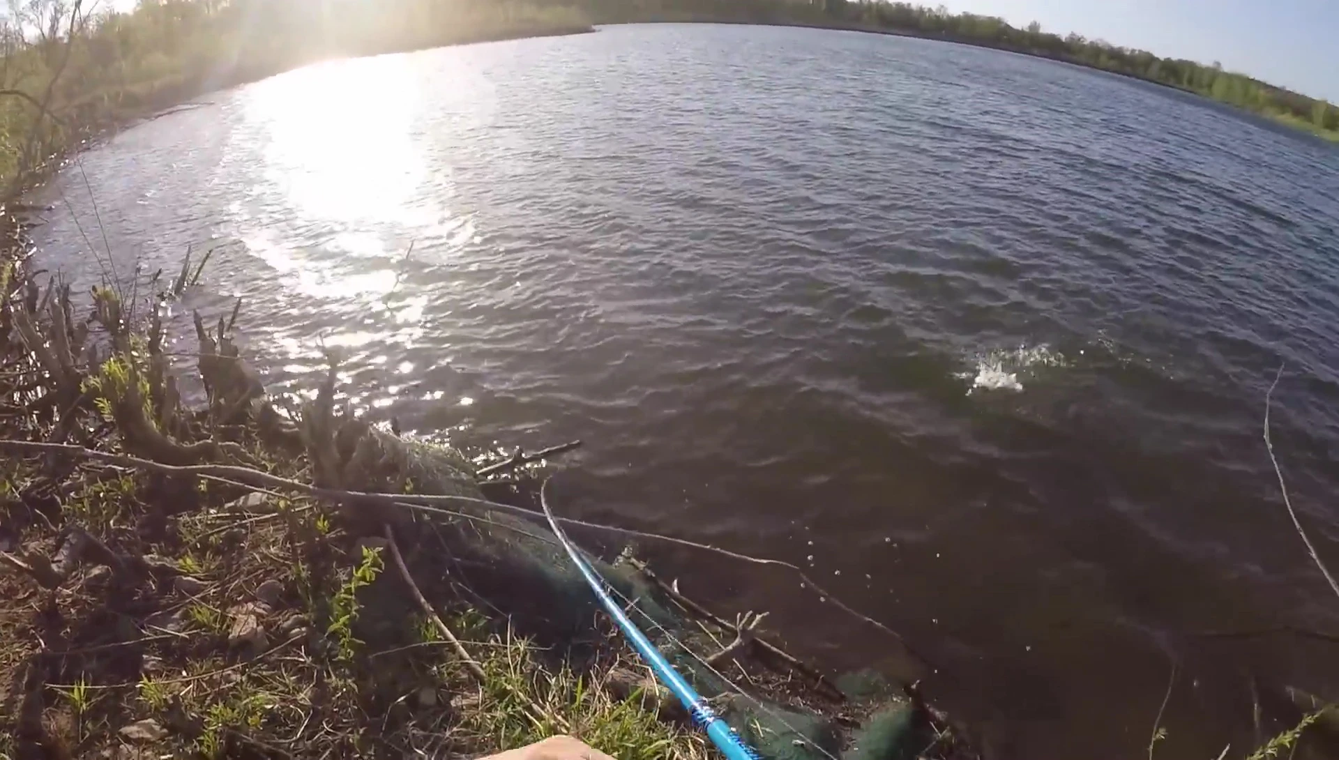 Landing a fish with the reel