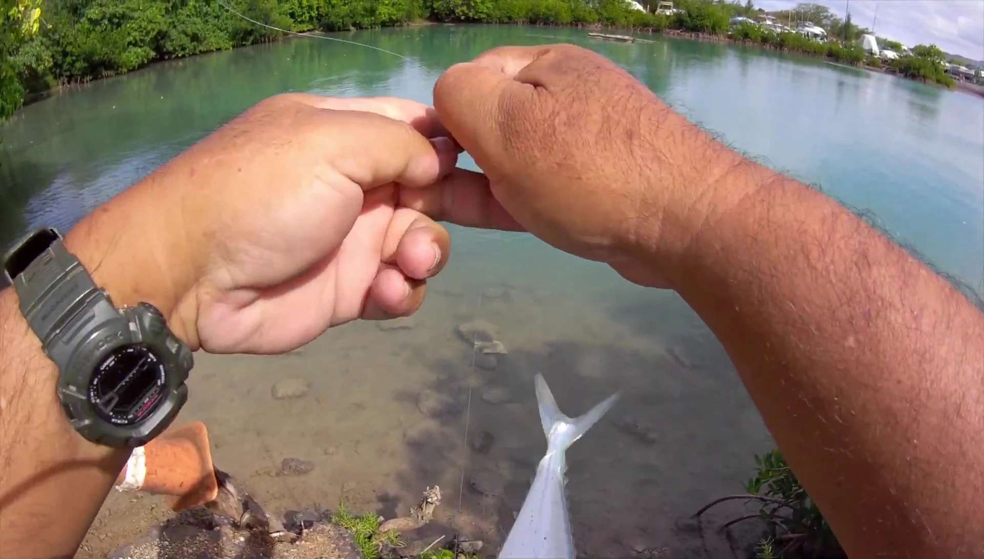Angler holding the caught fish