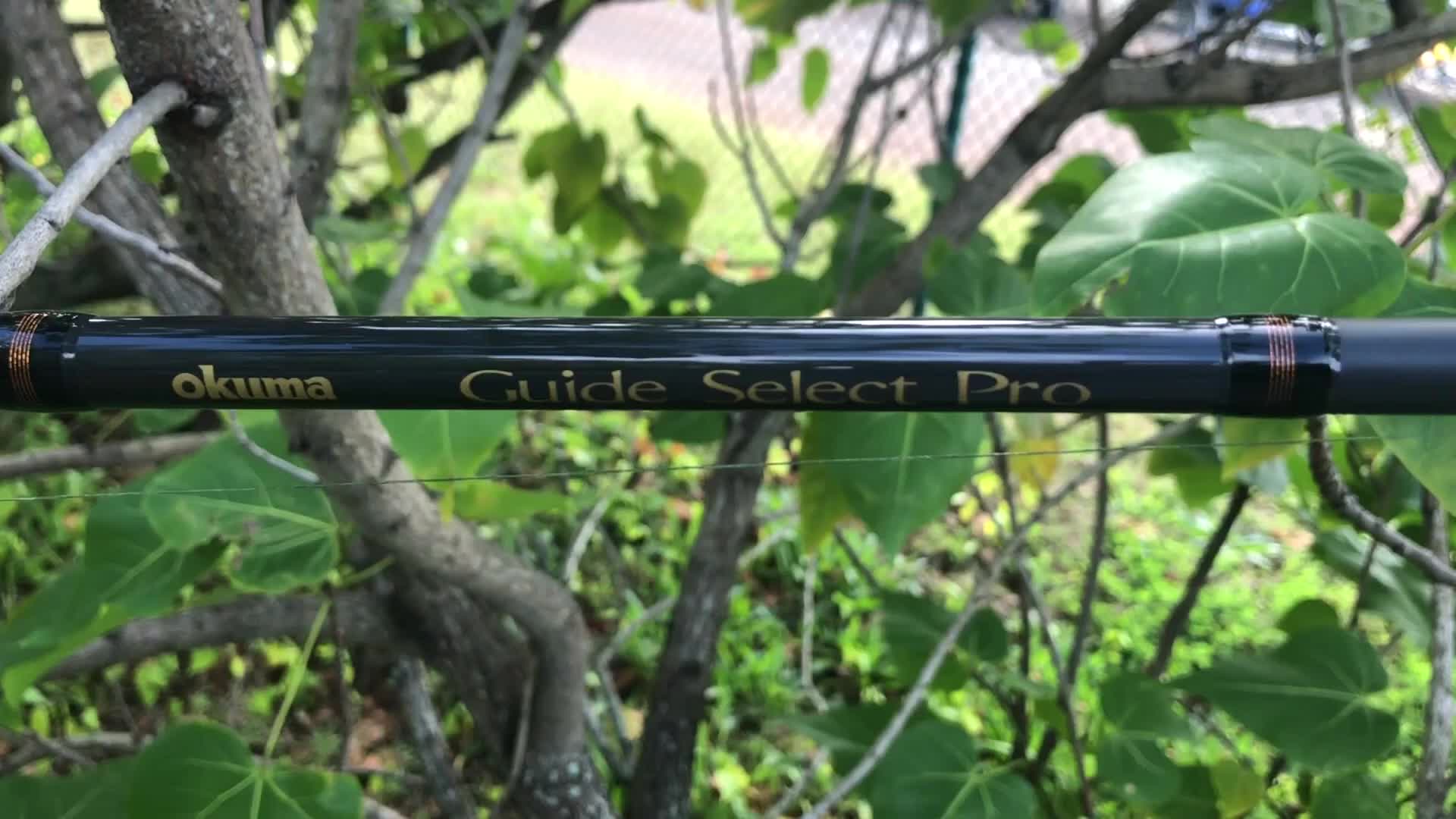 Close-up of the Okuma Guide Select Pro rod