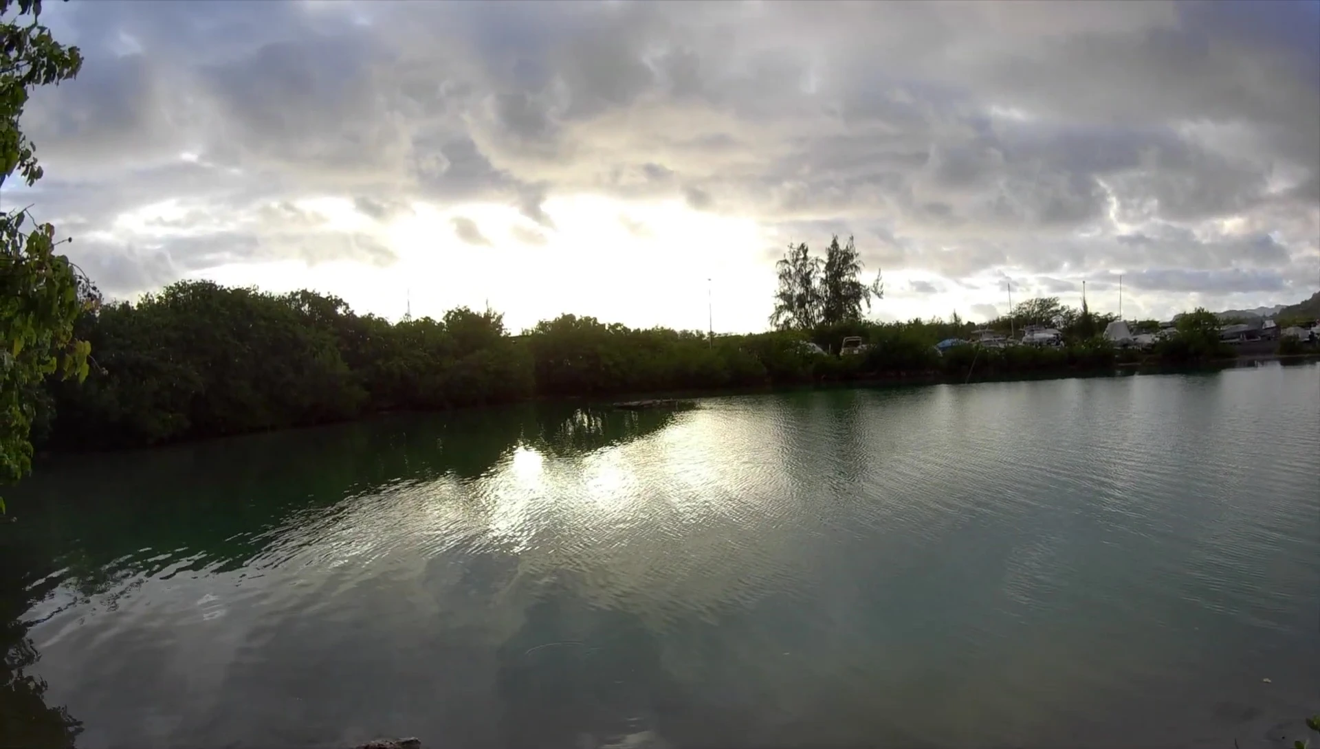 Sunrise fishing scene