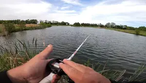 Lew's Tournament MP Speed Spool LFS Reel Review: A Detailed Look