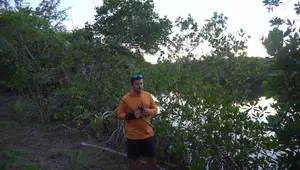 Penn Fierce III Reel Review: Budget-Friendly Fishing Performance