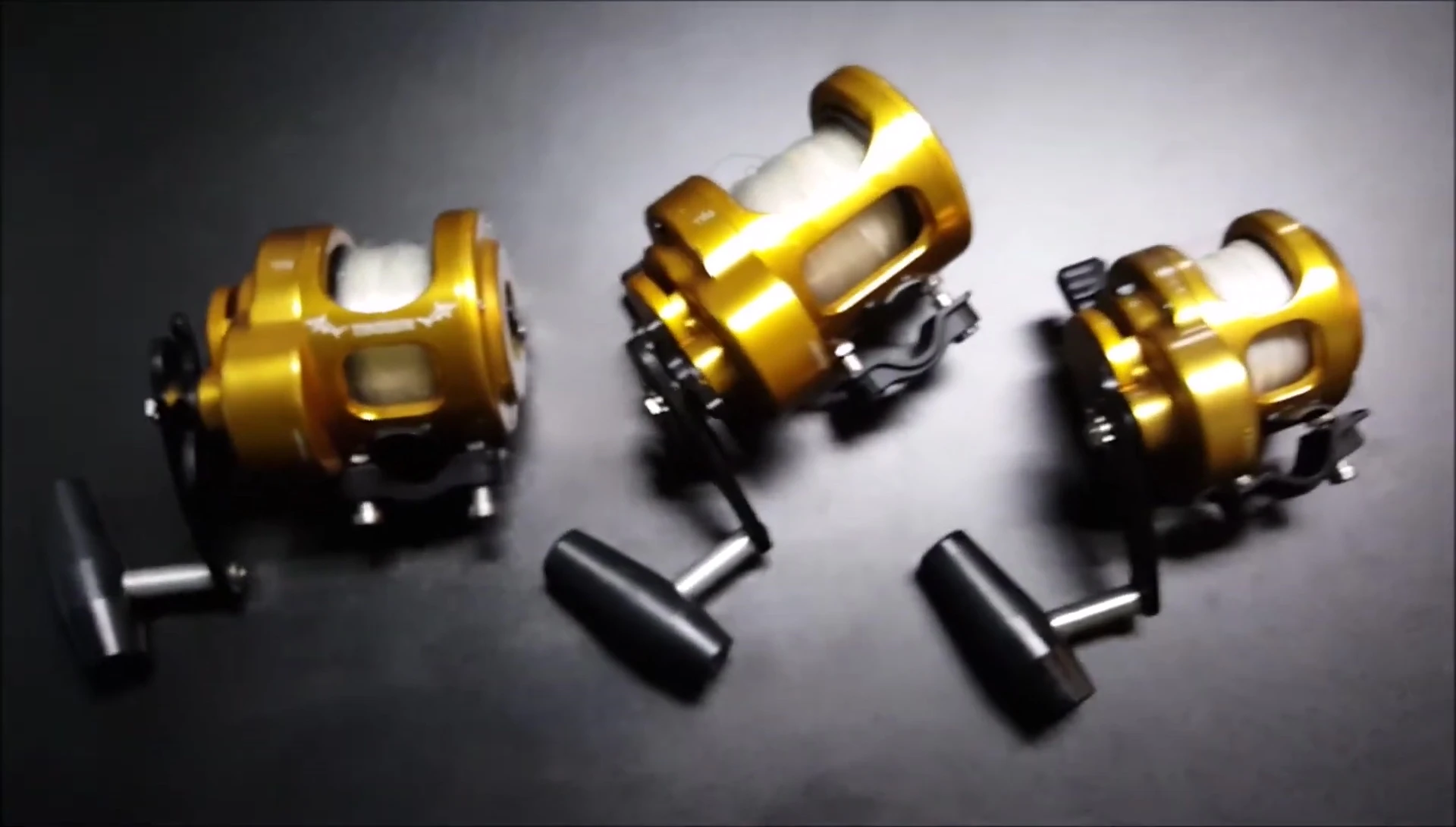 Tiburon Engineering's contribution