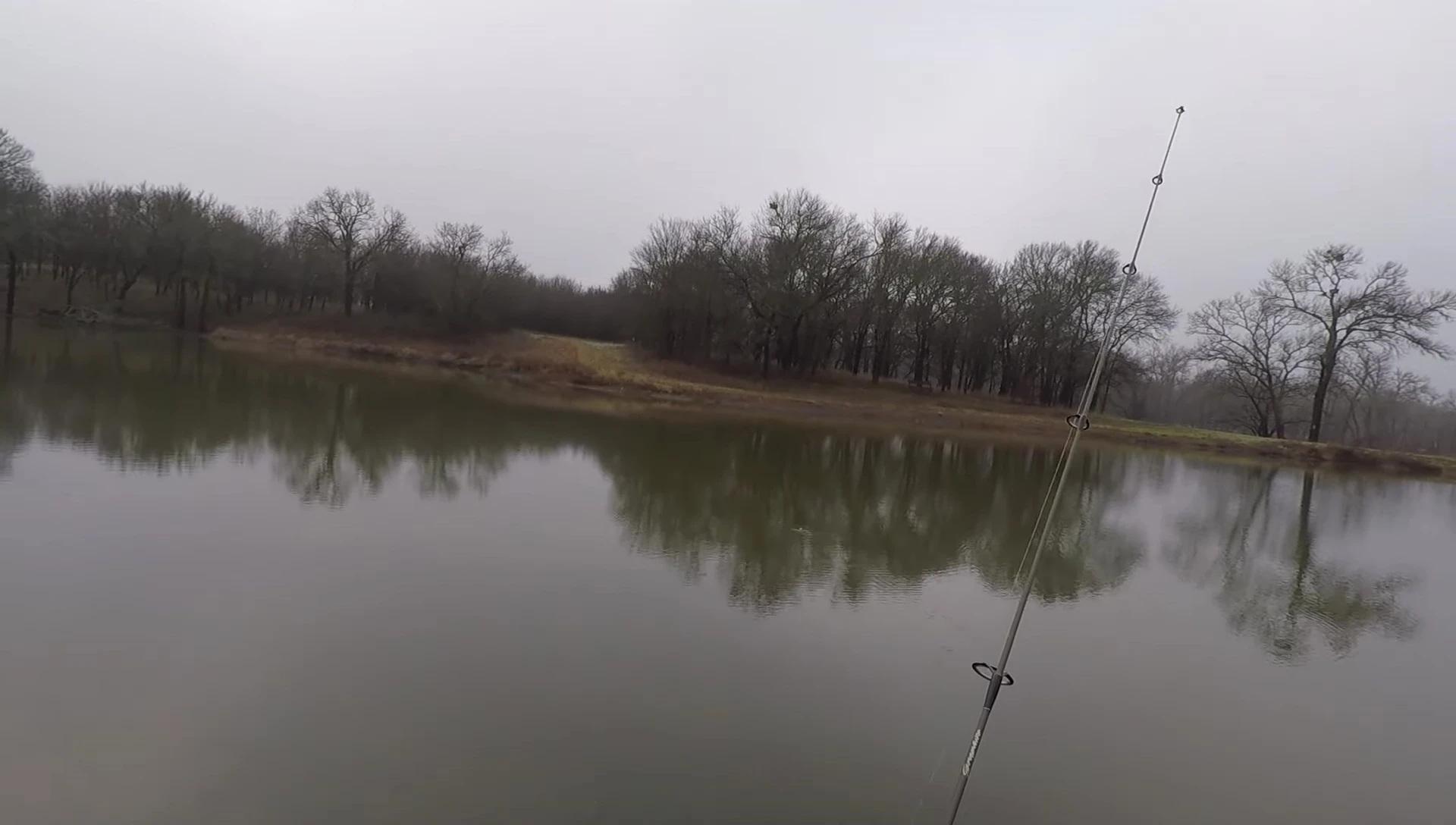 The angler checking for a bite