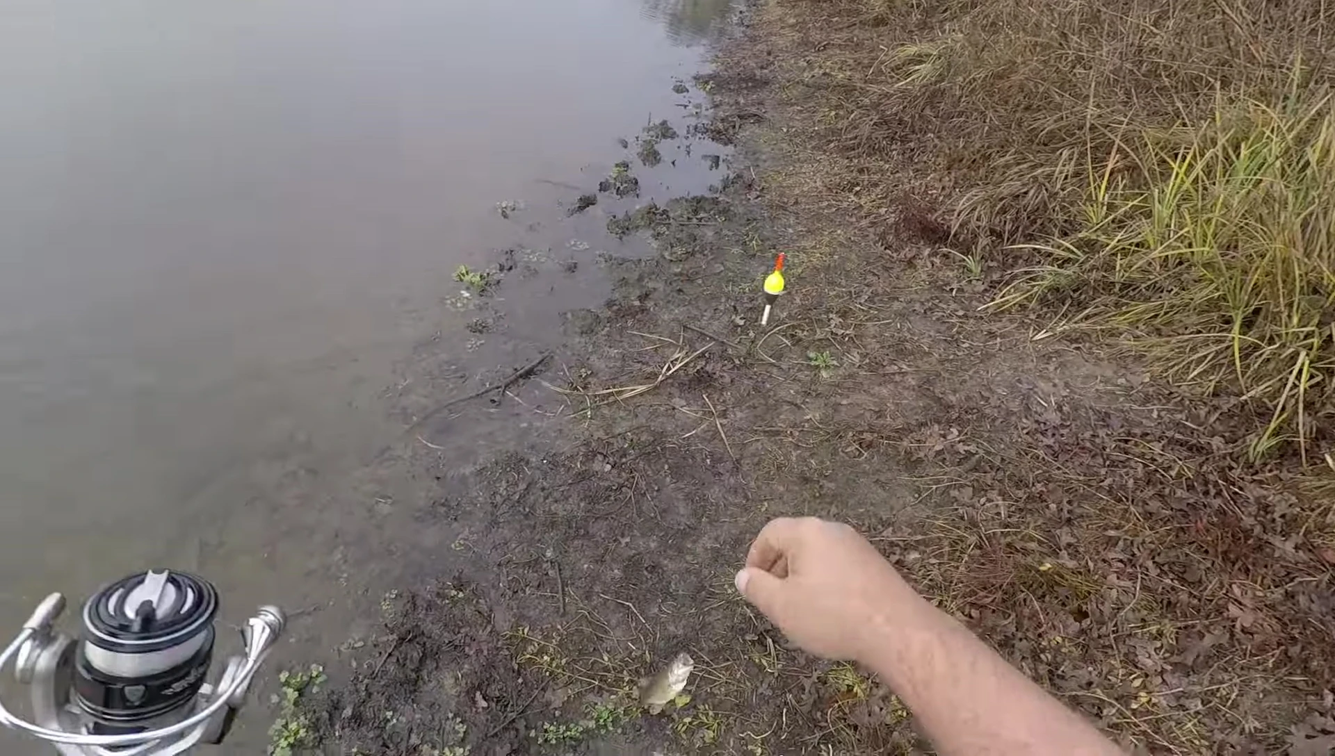 Another small fish caught on the Berkley Drip Minnow.