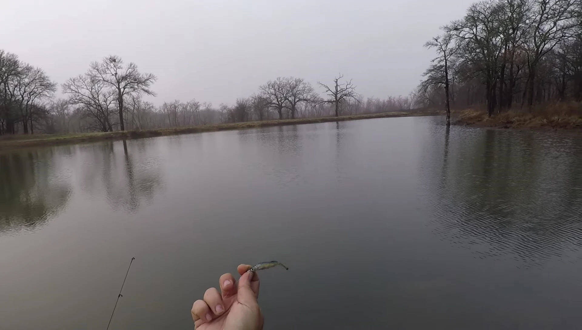 A small fish caught on the Berkley Drip Minnow.