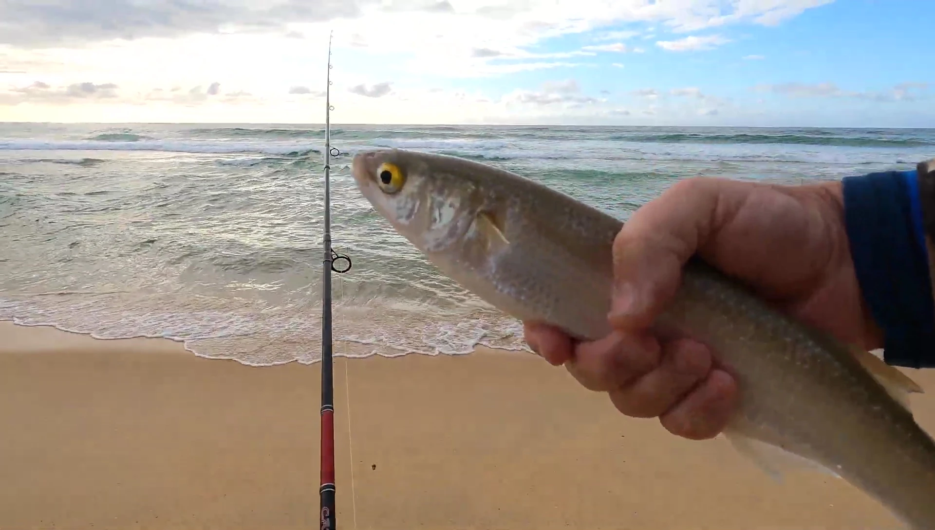 The YouTuber reeling in fish