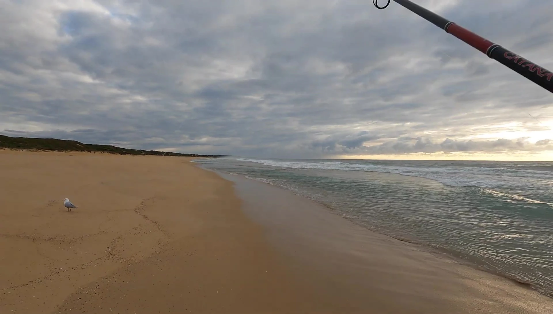 The YouTuber and his wife fishing on the beach