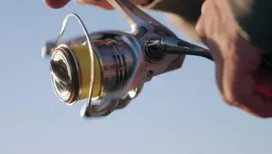 Shimano Sedona Spinning Reel Review: Surf Fishing Test & Top Tips