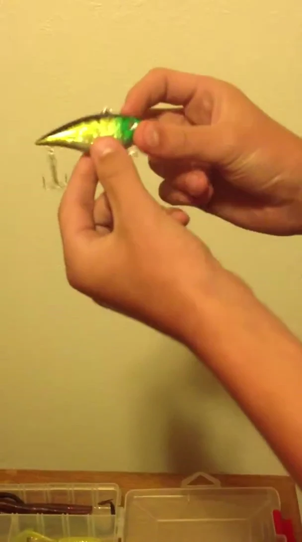 The lipless crankbait.