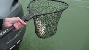 Braid vs. Monofilament for Trolling: Which Line Reigns Supreme?
