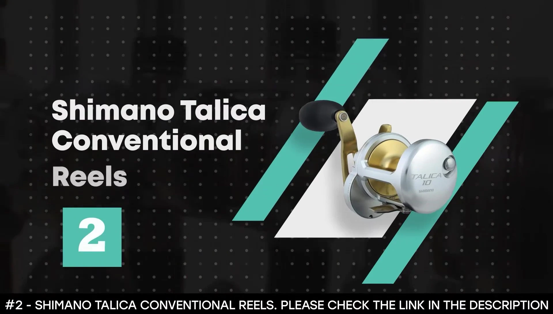 Shimano Talica Conventional Reel