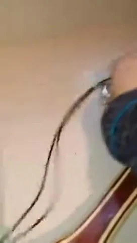 The elastic lanyard shown