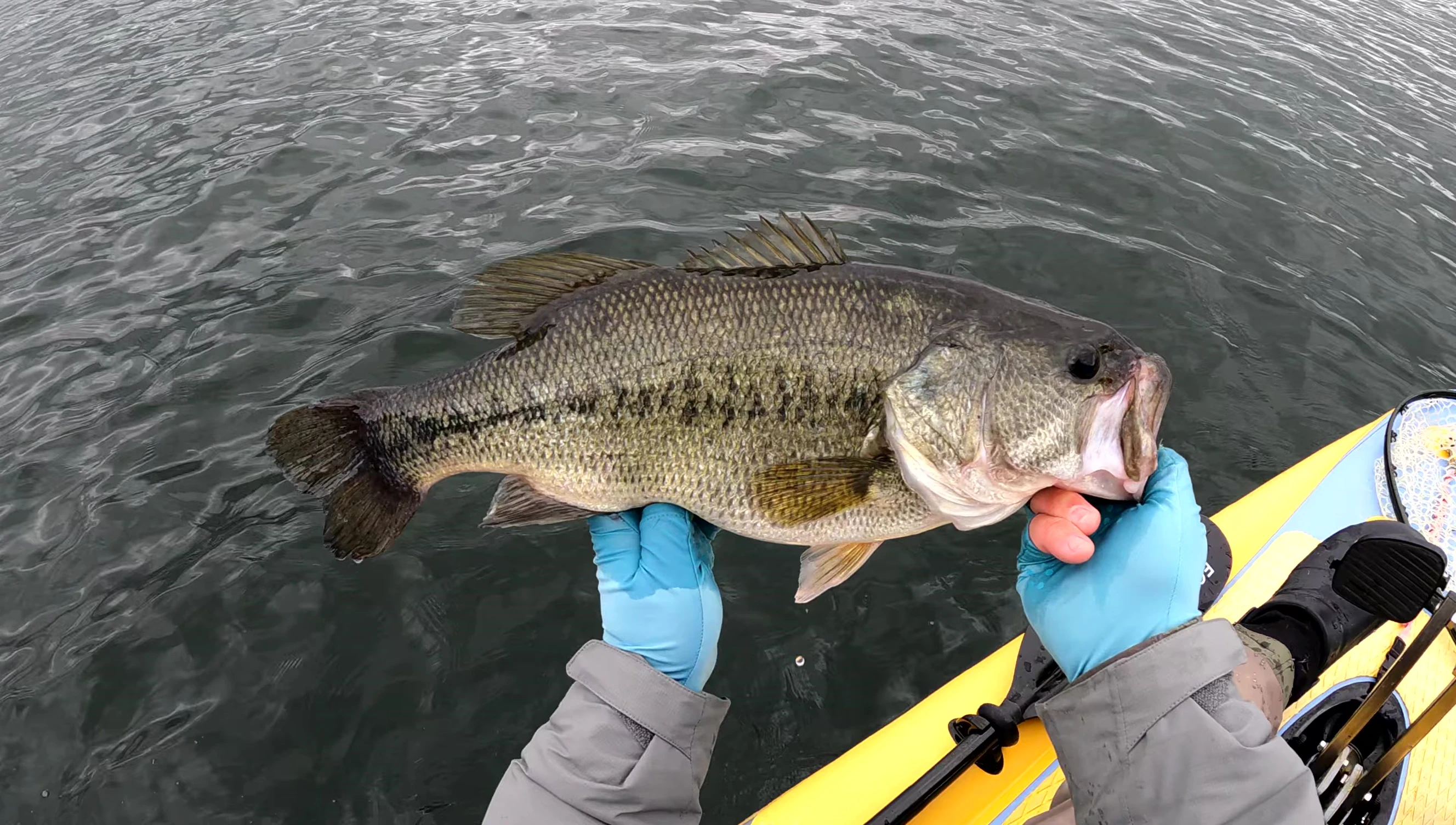 Daiwa Exist reel.