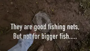 Foldable Fishing Nets Review: Two Nets, Two Experiences