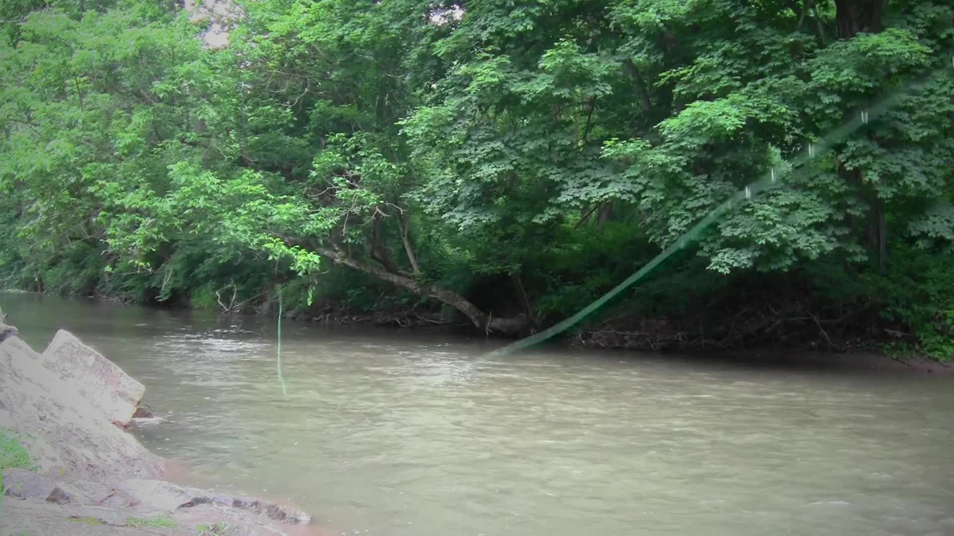 Angler wading in a stream, illustrating the need for convenient net access.