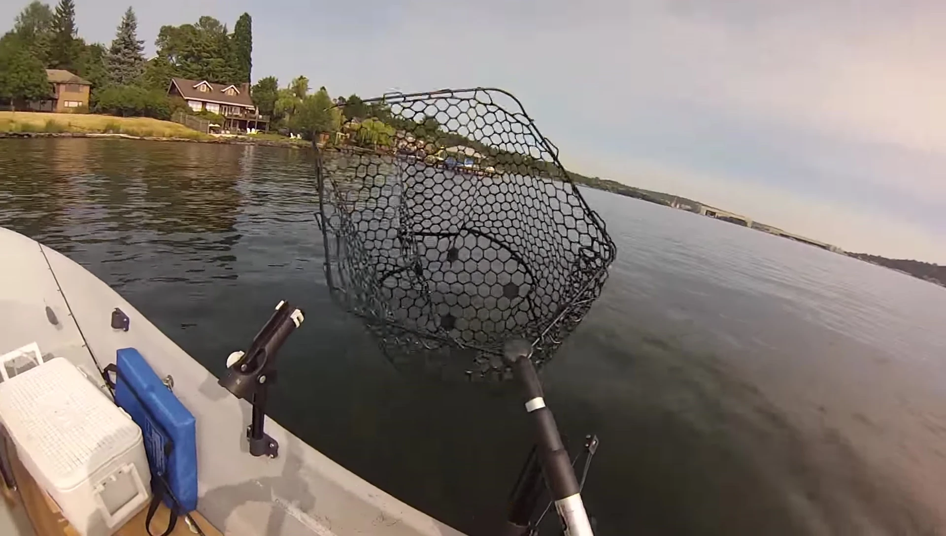 Close-up showcasing the rubber-coated net