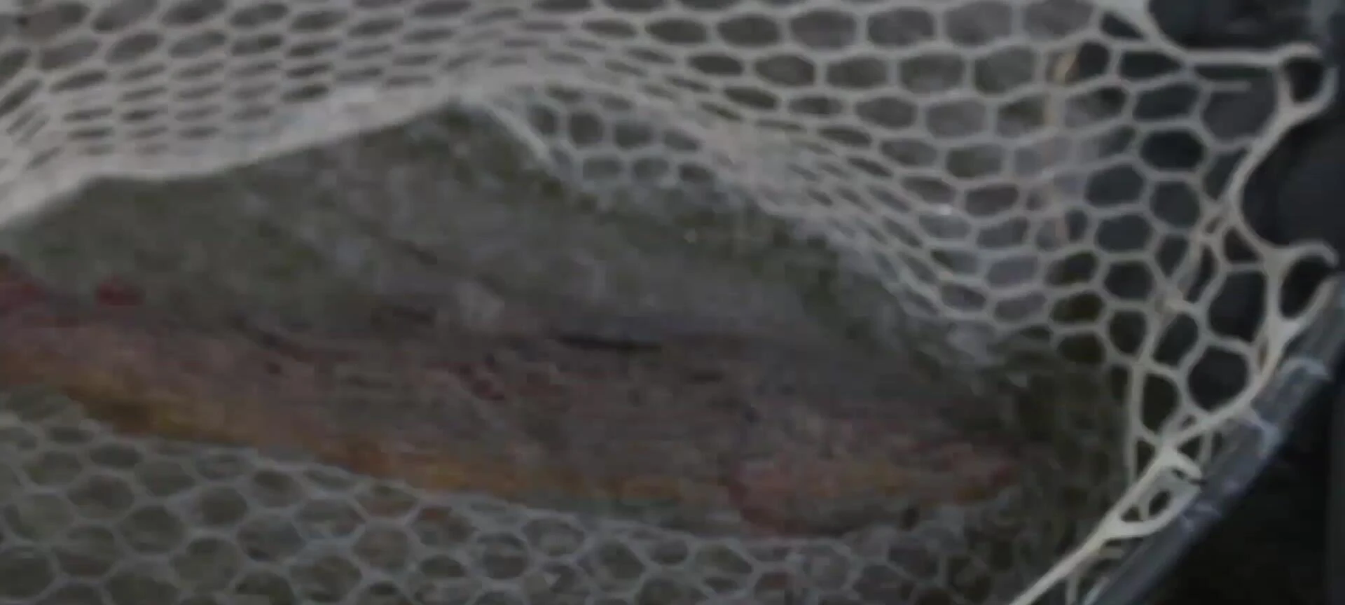 Close-up of the Fishpond Nomad Hand Net handle showing the texture