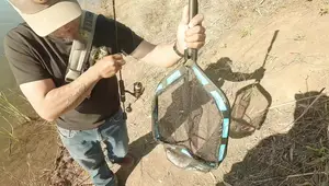 Plusinno Floating Collapsible Fishing Net Review: Compact, Convenient, and Catchy