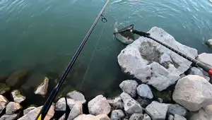 NETrekk Fishing Net Review: High-Quality Collapsible Net for Trout Fishing