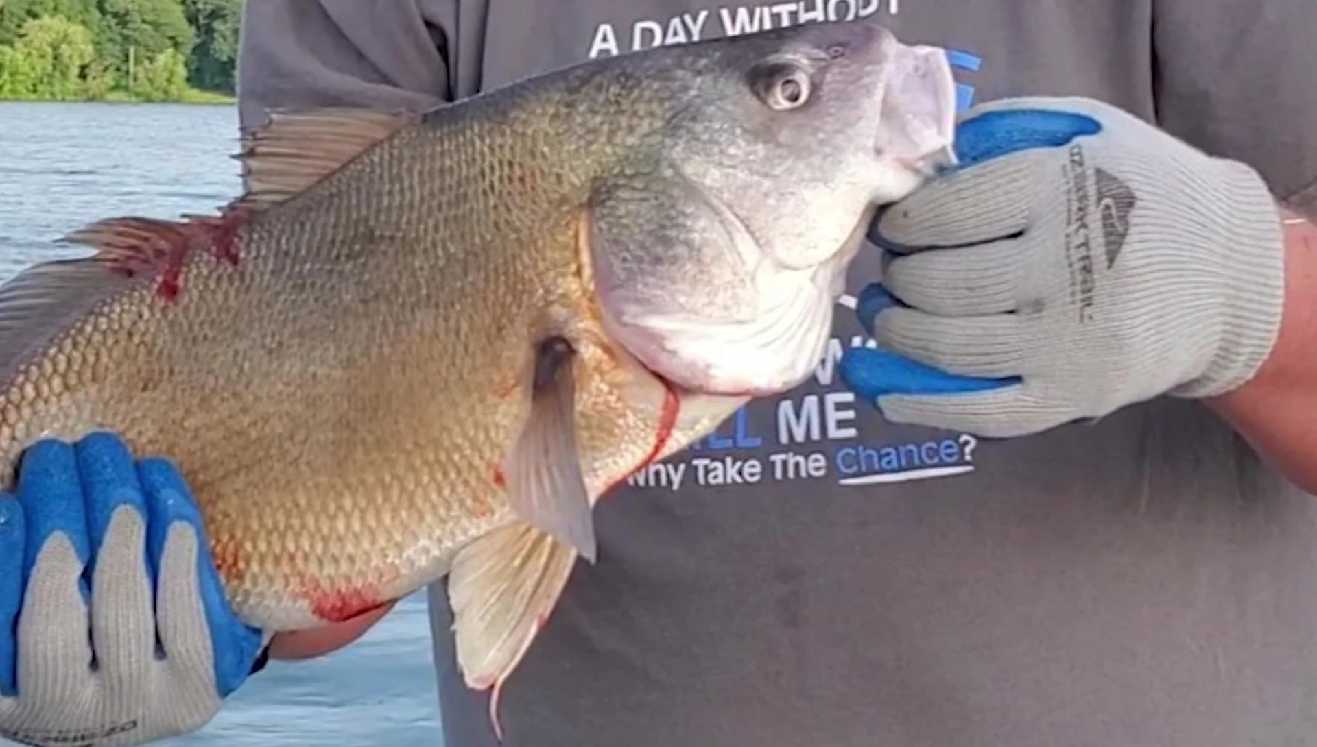 Close-up showing the grip and dexterity of the Berkeley gloves