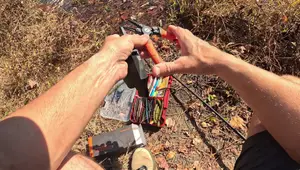KastKing Paradox 7.5" Fishing Pliers Review: A Comprehensive Look