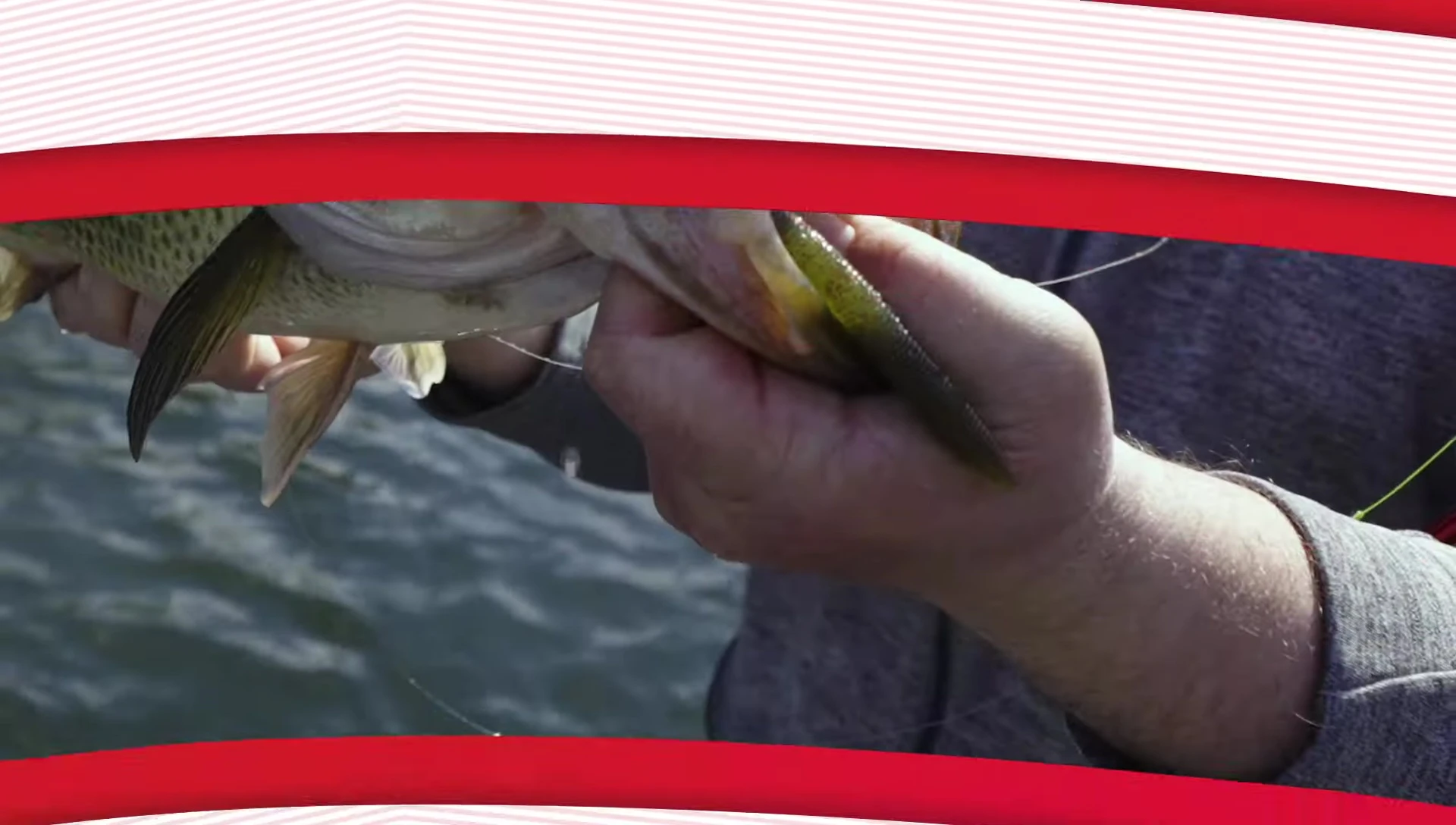 Focus on the hybrid worm hook