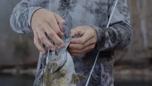 VMC RedLine Series Hooks Review: A Deep Dive into Hook Perfection