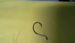 Octopus/Circle Hooks: A Deep Dive Review for Catfish Anglers