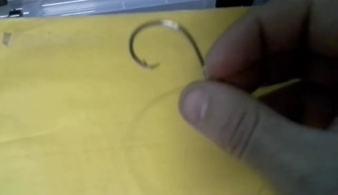 Diagram illustrating how a fish is hooked by the circle hook