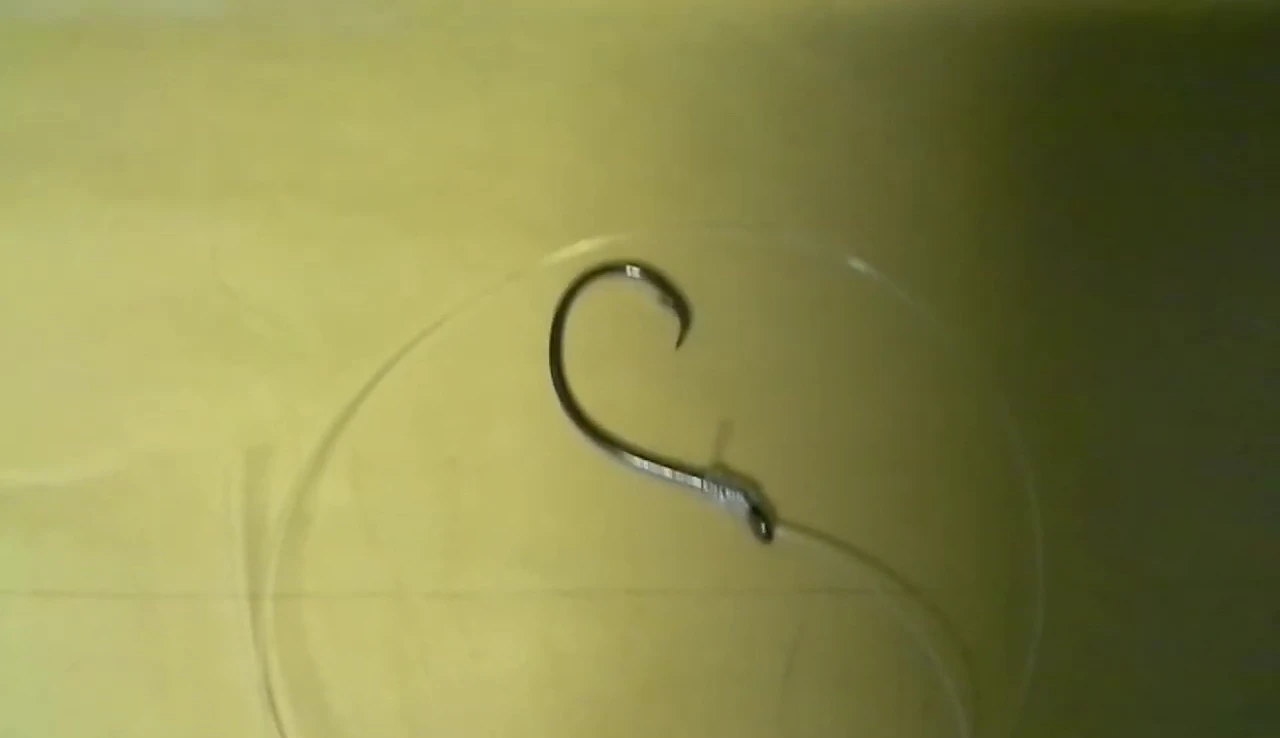 Example of night fishing setup with additional light