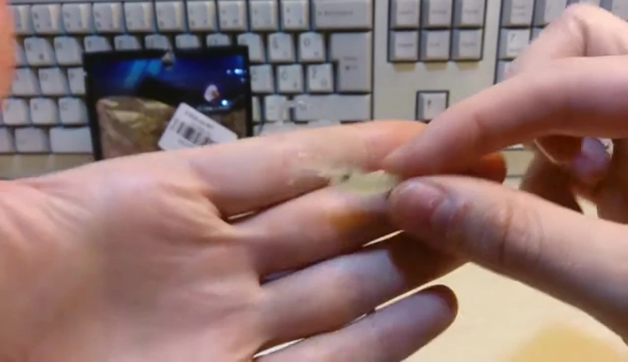 Close-up of the silicone shrimp baits in their packaging.