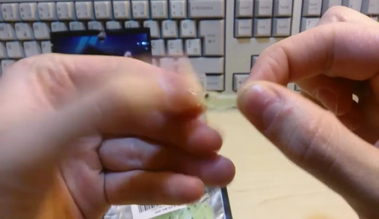 The reviewer examining the texture and detail of a single shrimp bait.