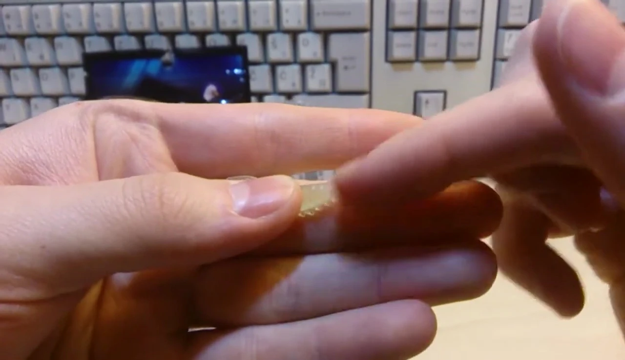The reviewer demonstrates the shrimp's flexible tail.