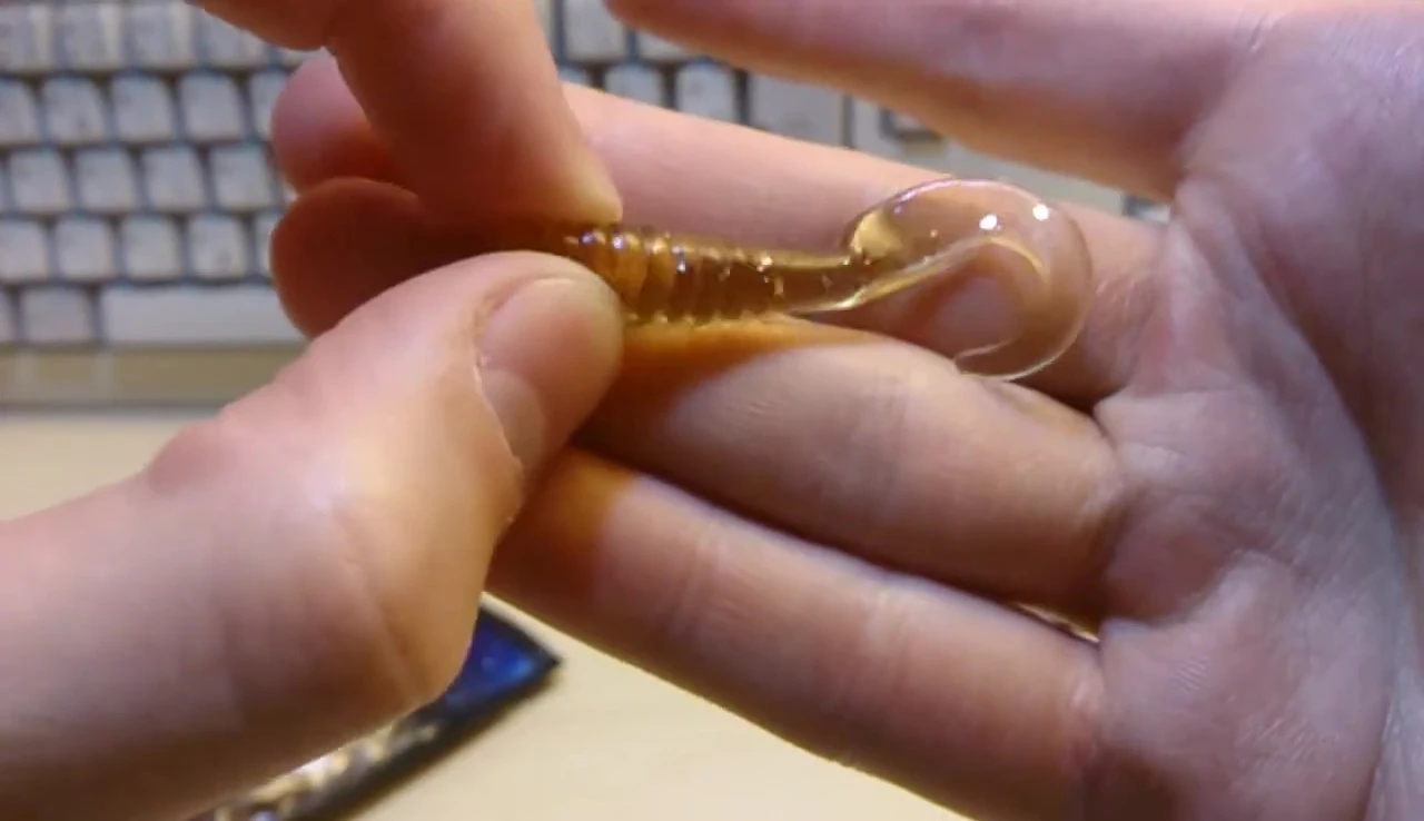 The reviewer highlighting the shiny quality of the bait.