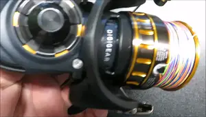 Daiwa BG Reels Review: Unbeatable Value in Spinning Reels?
