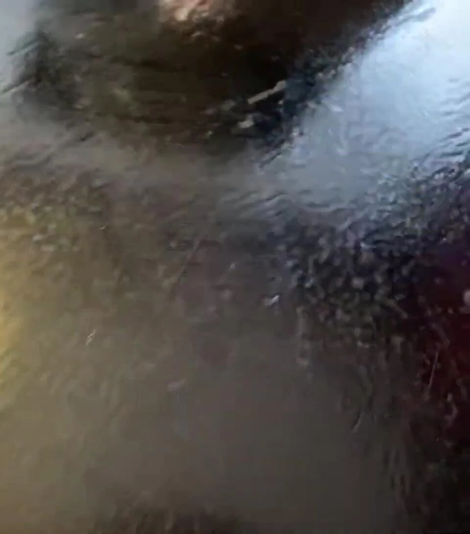 Close-up shot comparing the design of the Revo X and SLX.