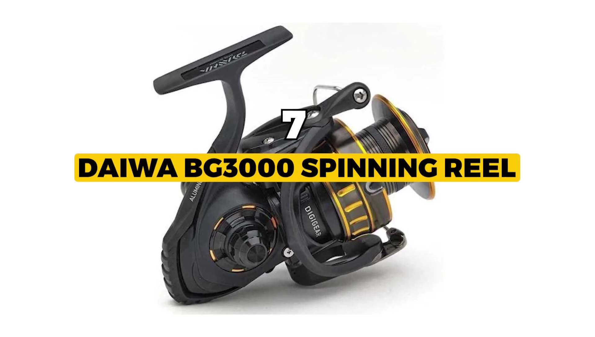 Daiwa BG 3000 spinning reel, the overall winner