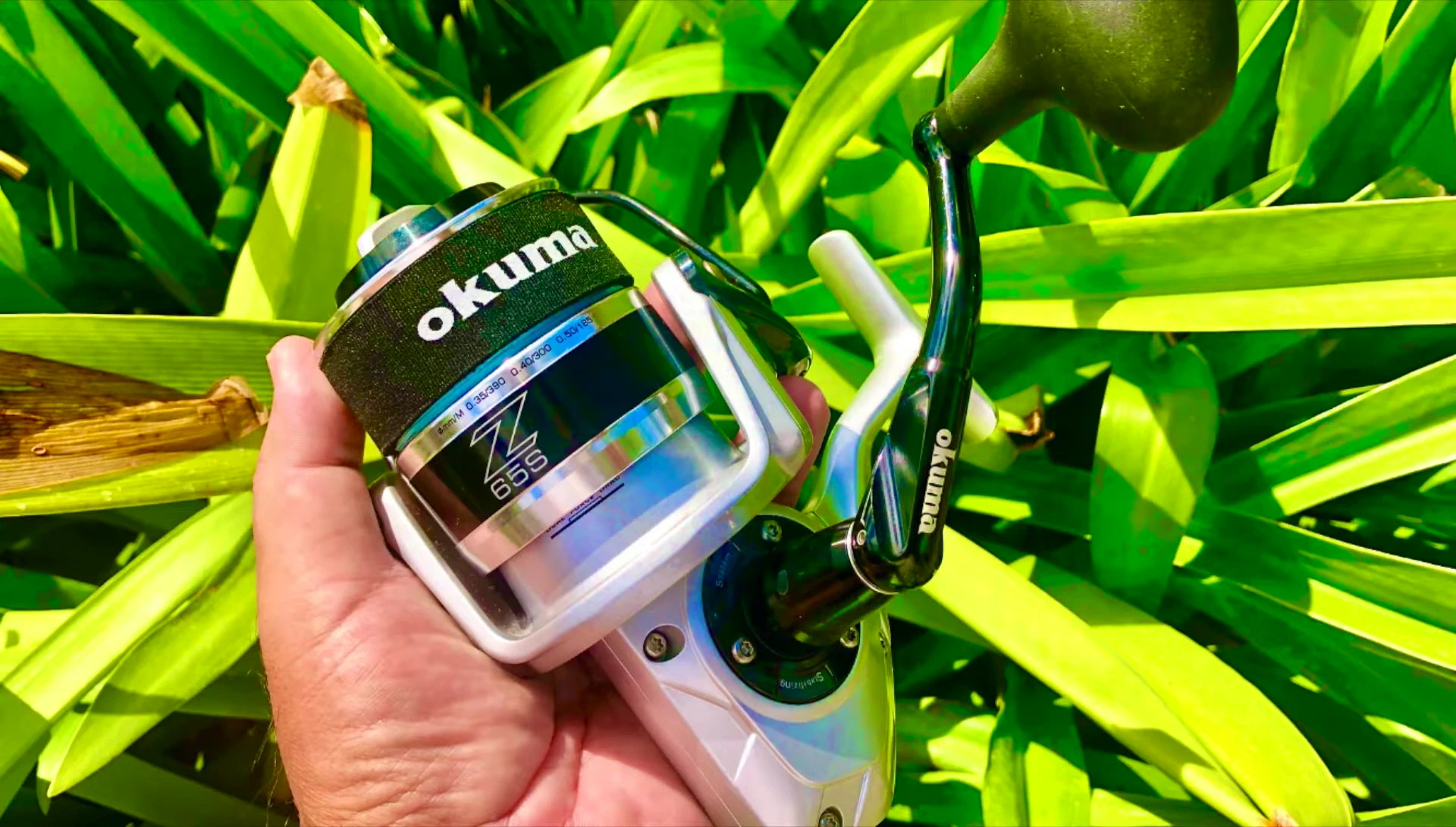 Sports Authority store and the original Azores reel