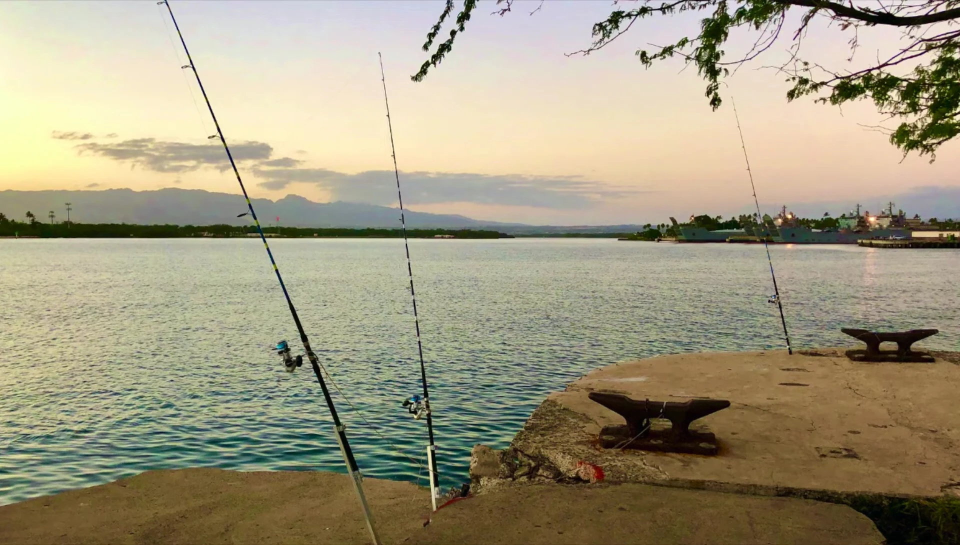 The angler fishing with the Azores reel